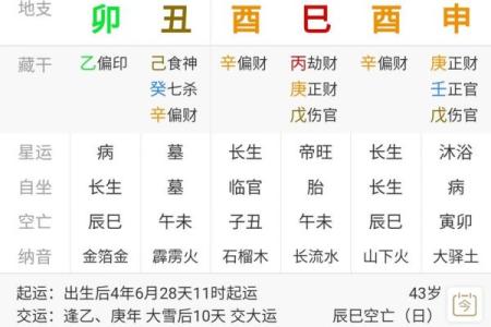 男命有伤官是什么命格?解密伤官的神秘特征与影响