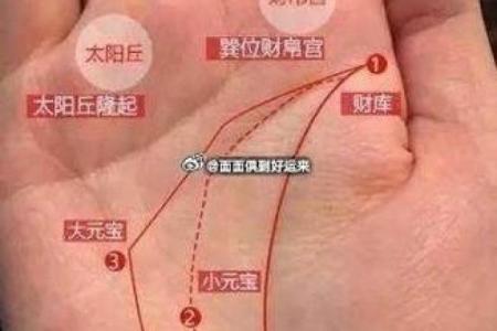看手相两手的命运解析:你是富贵之人还是平凡之辈?
