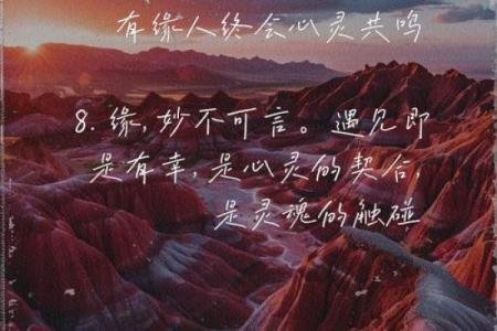命是缘，缘是命：探寻人生的深意与音乐的共鸣