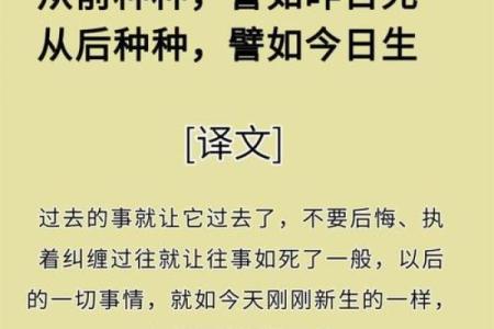 探索命运的奥秘,从“命”中去掉口字的启示