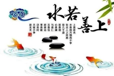探索巽卦的深邃含义：风动万物，自然之道的启示
