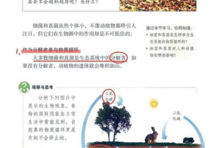 探索命理中的将军界：深度解析与实践应用