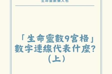 揭开九命格与八命格的神秘面纱，探索命理的奥秘与智慧
