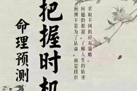 探秘命格之八字，解锁人生的秘密与智慧