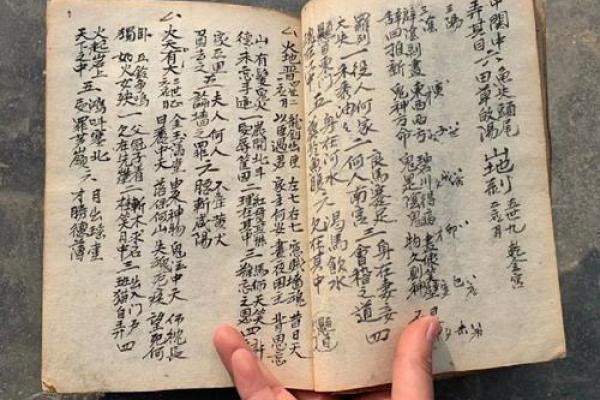 揭开龟壳算命的神秘面纱：你也可以掌握自己的命运！