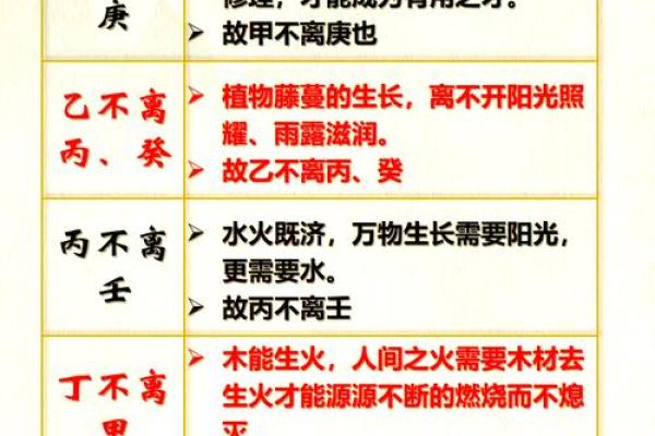 命理学中忌神的深刻解析与应用探讨