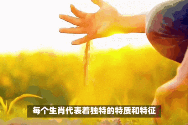 救人一命胜一胜，生肖的智慧与启示