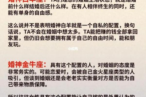 命里无老婆：探寻单身命格背后的深层含义与启示