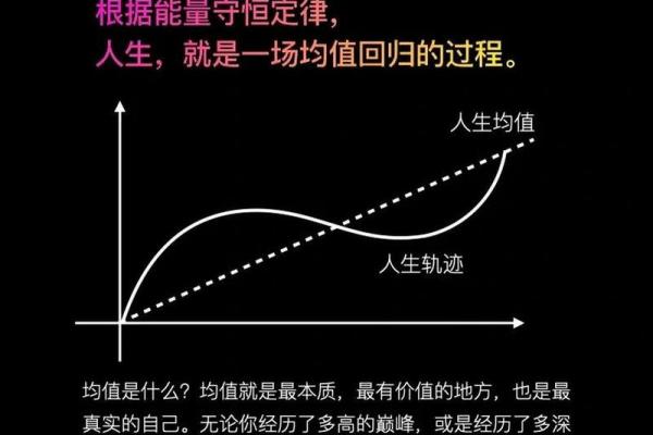 命里占徒流的意义与解读：探寻命理背后的智慧与哲学