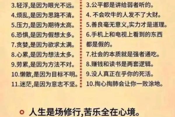 当代女性与家庭琐事：洗碗背后的心声与真相