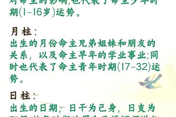 《九四年二月二十一生辰命理探究》