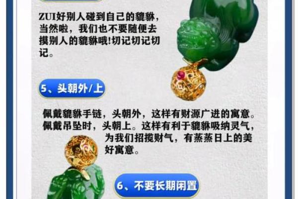 探索木命属蛇的貔貅选择：最佳材质解析与佩戴技巧