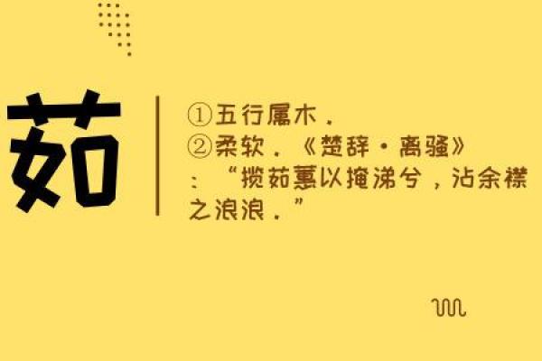 女命里贵人晚生的深刻含义与影响探讨