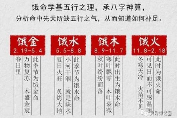 男大林木命：与众不同命理解读与搭配建议