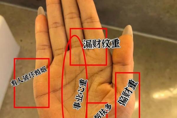 掌纹揭秘：从手心看你我的命运、个性与潜力！
