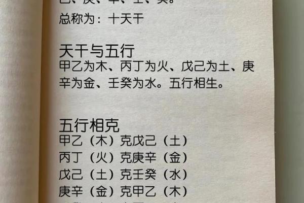 命理分析：揭开“寅垣”之秘与人生智慧