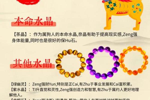腊月初三出生的属狗女孩：命运与性格的探讨