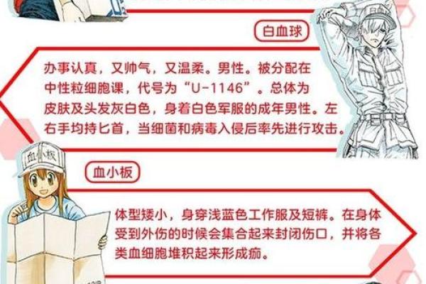 九命猫妄寻鱼：探寻生命的奇妙与勇敢之旅