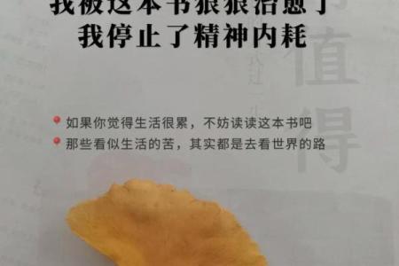 命甜的意义：人生中的酸甜苦辣与内心的平衡