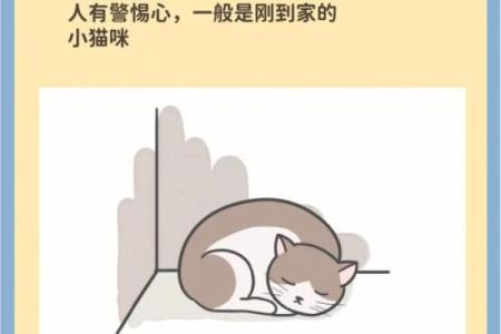 根据你的睡姿，看看它能揭示出什么命运和性格！