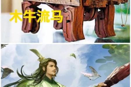 探秘路旁土命的马与其相生的秘密之道