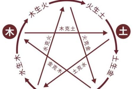 木与火的和谐交响:探讨命理中的字义与人生