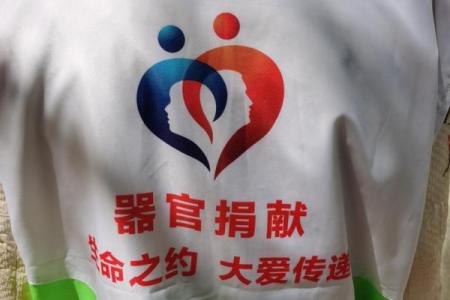捐款者的命运:善心与财富的交织
