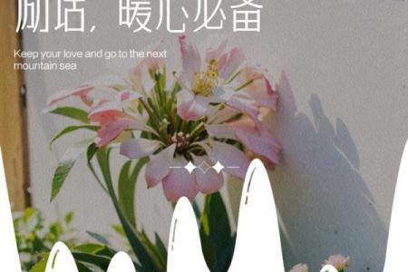 以命鼓行，踏上生命的旅程：探索命运与行动的关系