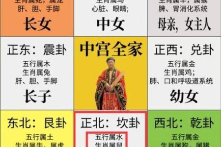 腊月出生的女鼠命运解析:智慧与机遇并存的生命旅程