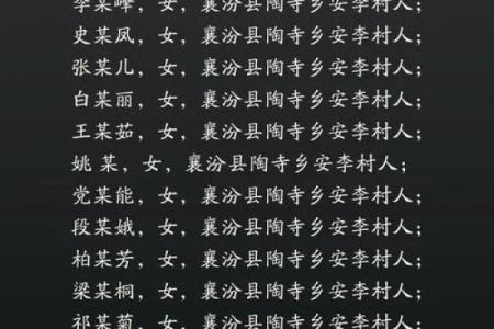 探索1991年8月21日出生者的命运与性格特征