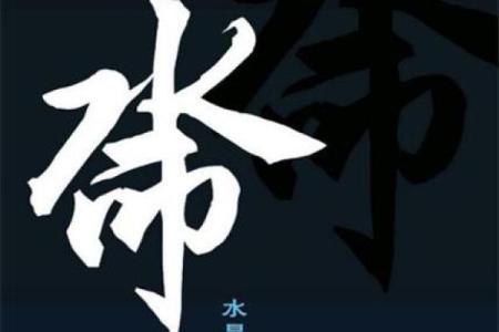 探寻葵水命：理解这一独特水命的特质与运势之道