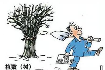 命有好夫的深层含义与生活启示