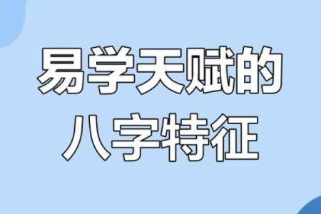 命局有象：揭示命运背后的神秘信号与人生哲学
