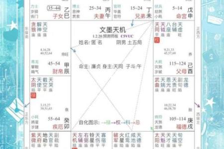 命局中的冲合：揭示人生起伏的奥秘与智慧