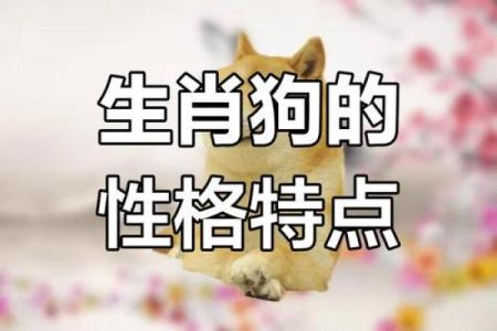 腊月初三出生的属狗女孩：命运与性格的探讨