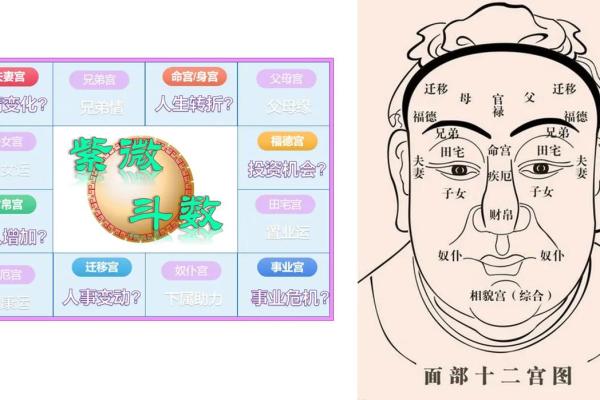 看相算命的奥秘：从面相中解读人生的命运与性格