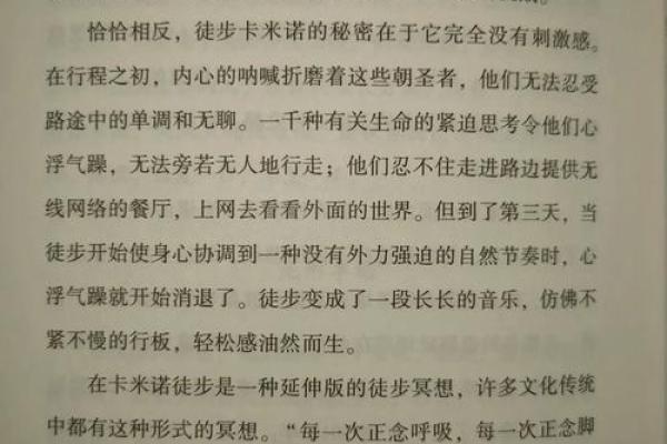 命里有杀身之祸，如何应对生活中的挑战与转机