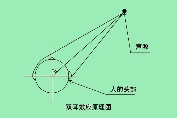 两耳朵上端尖的男人：命运与性格的秘密探寻