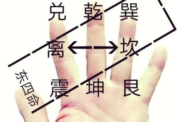 探索东四命：掌握命运的智慧与技巧
