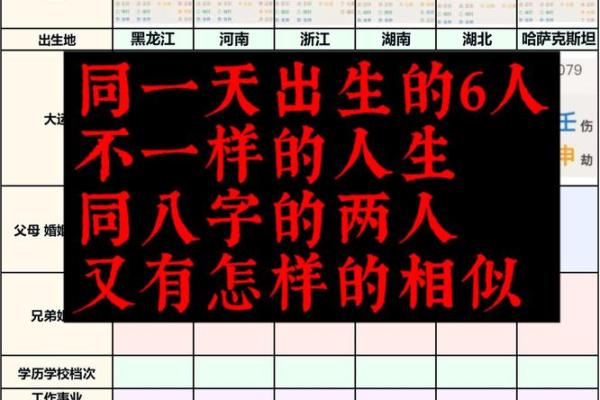 零四年出生的孩子，命运的轨迹与成长的启示