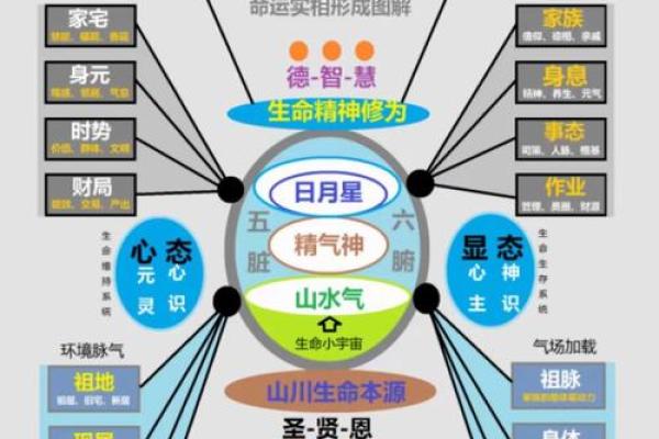 1993年六月出生的人命运解析：独特的个性与人生轨迹