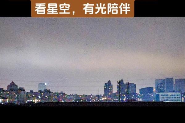 揽条条惜命命：生命的珍贵与选择的智慧