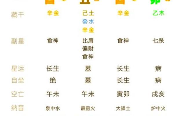 深度解析命卦五行的奥秘与应用