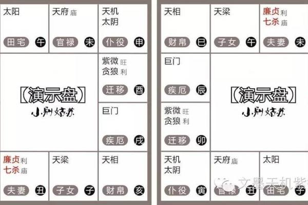 命无正曜：解析其独特优势与人生启示