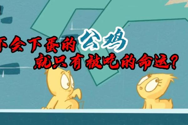 灵阁逆天改命的选择：命运与自我掌控的奇幻之旅