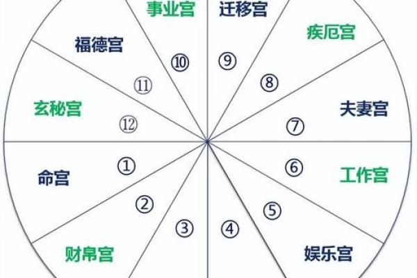 深入解析：龙女命格的奥秘与人生运势