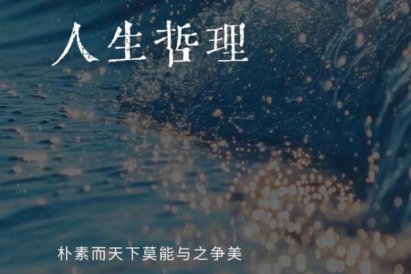 君命不可违，探寻其中的深意与人生智慧