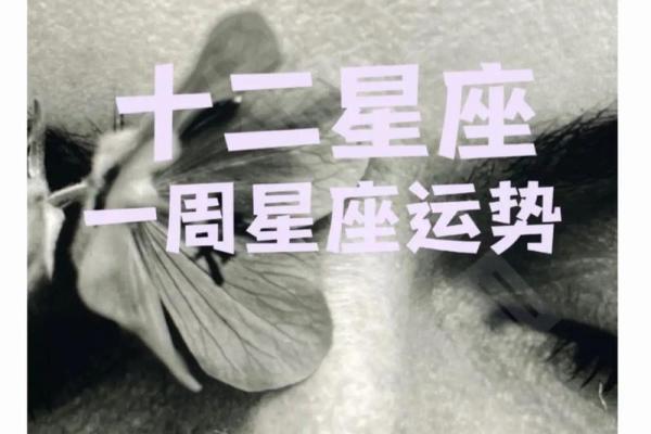 探讨女命4.7两：命理中的命格解析与人生引导