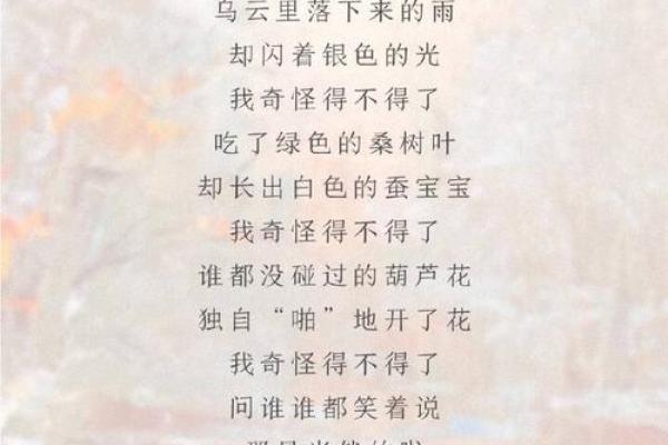 探索命运的秘密：音节与部首之间的奇妙联系