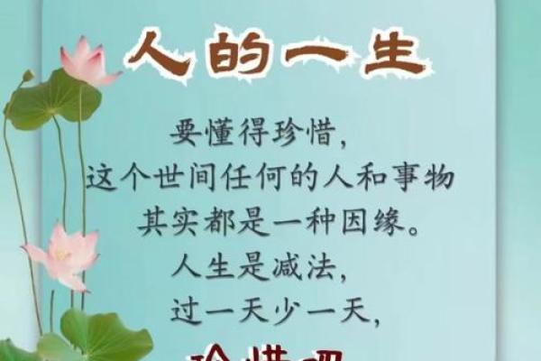 留个命：人生的意义与珍惜生命的智慧